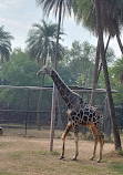 Nehru Zoological Park Hyderabad