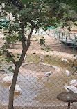 Nehru Zoological Park Hyderabad