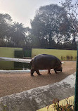 Nehru Zoological Park Hyderabad