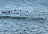 Lighthouse Field State Beach