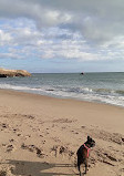 Lighthouse Field State Beach