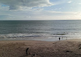 Lighthouse Field State Beach