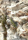 Fern Grotto Beach