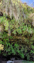 Fern Grotto Beach