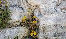 Fern Grotto Beach