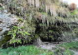 Fern Grotto Beach