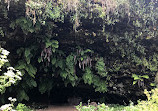 Fern Grotto Beach