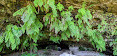 Fern Grotto Beach