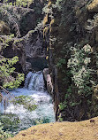 Little Qualicum Falls Provincial Park