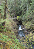 Little Qualicum Falls Provincial Park