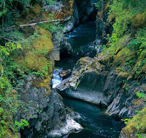 Little Qualicum Falls Provincial Park