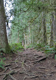 Little Qualicum Falls Provincial Park