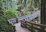 Little Qualicum Falls Provincial Park