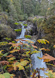 Little Qualicum Falls Provincial Park