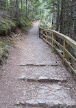 Little Qualicum Falls Provincial Park