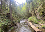 Little Qualicum Falls Provincial Park