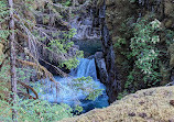 Little Qualicum Falls Provincial Park