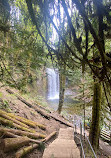 Little Qualicum Falls Provincial Park