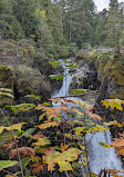 Little Qualicum Falls Provincial Park