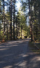 Little Qualicum Falls Campground