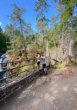 Little Qualicum Falls Campground