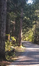 Little Qualicum Falls Campground