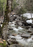 Shannon Falls Viewpoint