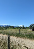 Little Qualicum Cheeseworks