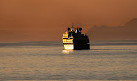 BC Ferries Horseshoe Bay Ferry Terminal