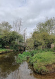 River Tud Woods