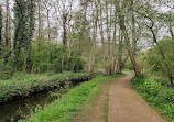 River Tud Woods