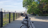 Brooklyn Heights-Promenade