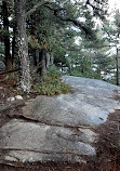 Acadia Mountain