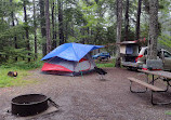 Blackwoods Campground