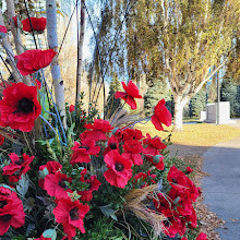 Central Memorial Park