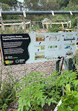 Piney Lakes Community Garden