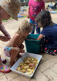 Piney Lakes Community Garden