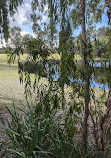 Piney Lakes Reserve