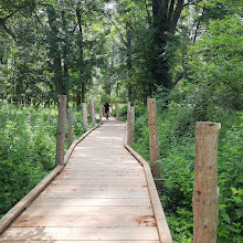 Strathroy Conservation Area