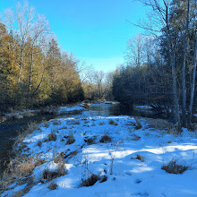 Bannockburn Trail