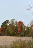 Mill Stream Conservation Area