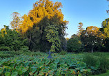 Botanic Park