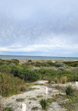 Largs Beach