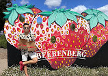 Beerenberg Farm