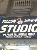 STUDIO FALCON