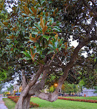 Lafayette Square