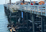 Santa Cruz Wharf