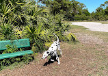 Wickham Park Dog Park