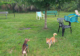 Wickham Park Dog Park