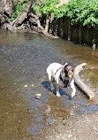 Happy Valley Nature Reserve